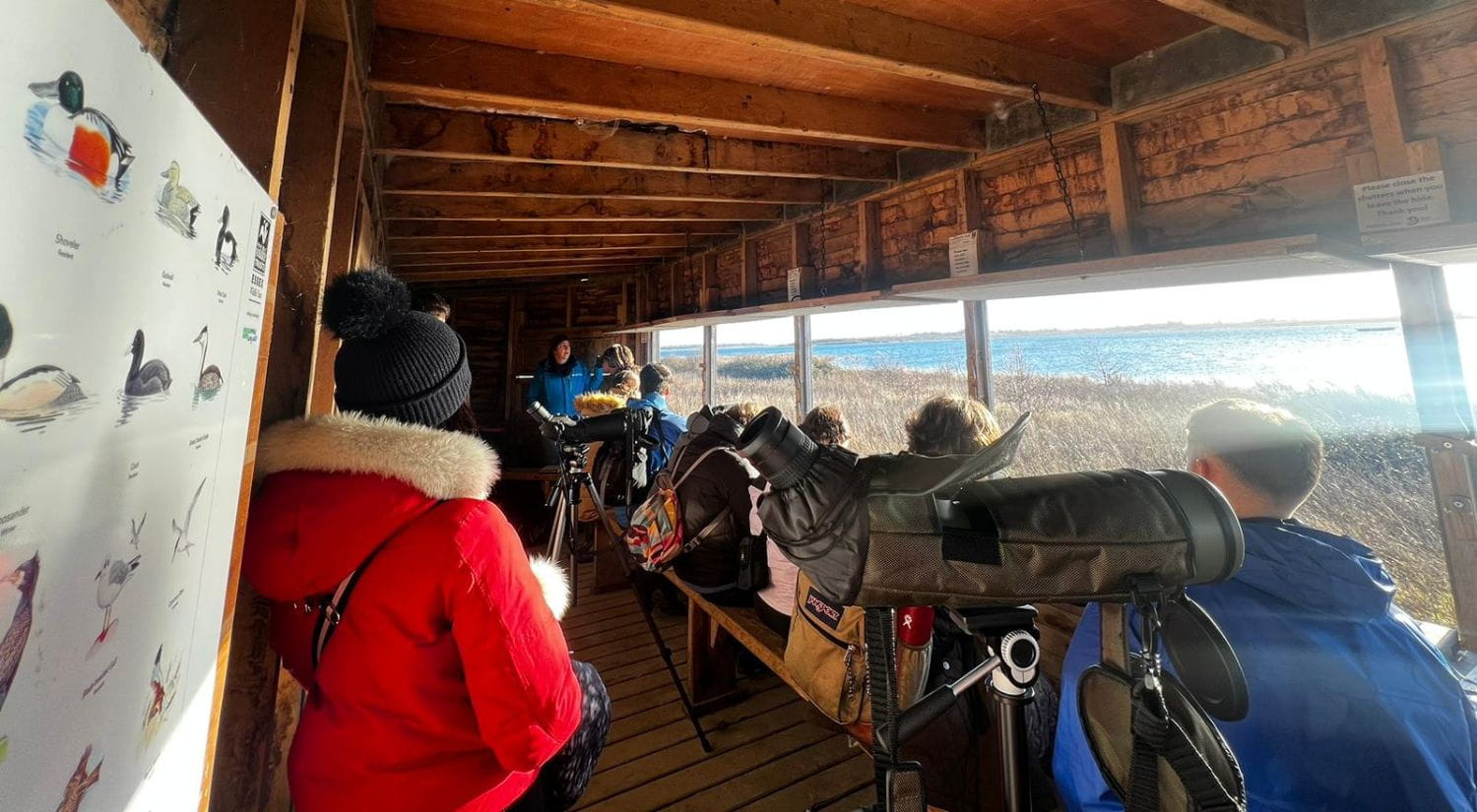 The students in a hide 