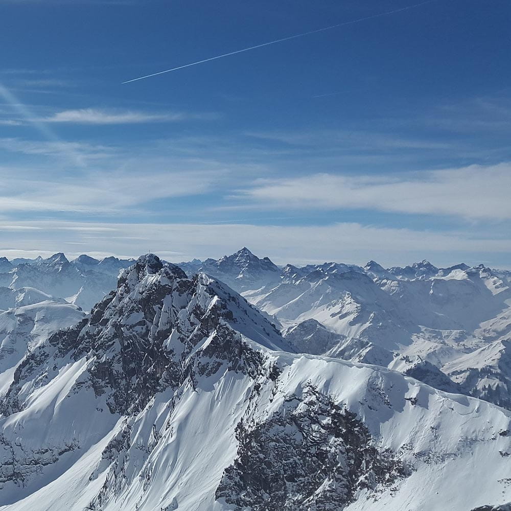 Melting glaciers in the Alps will eradicate some invertebrates that are crucial for alpine ecosystems – new research | Blog 