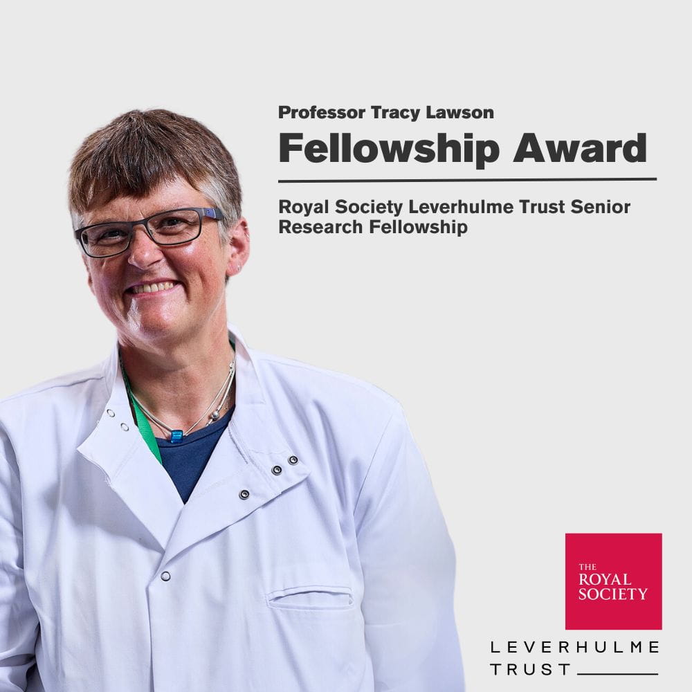 Tracy Lawson Wins A Royal Society Leverhulme Trust Senior Research ...