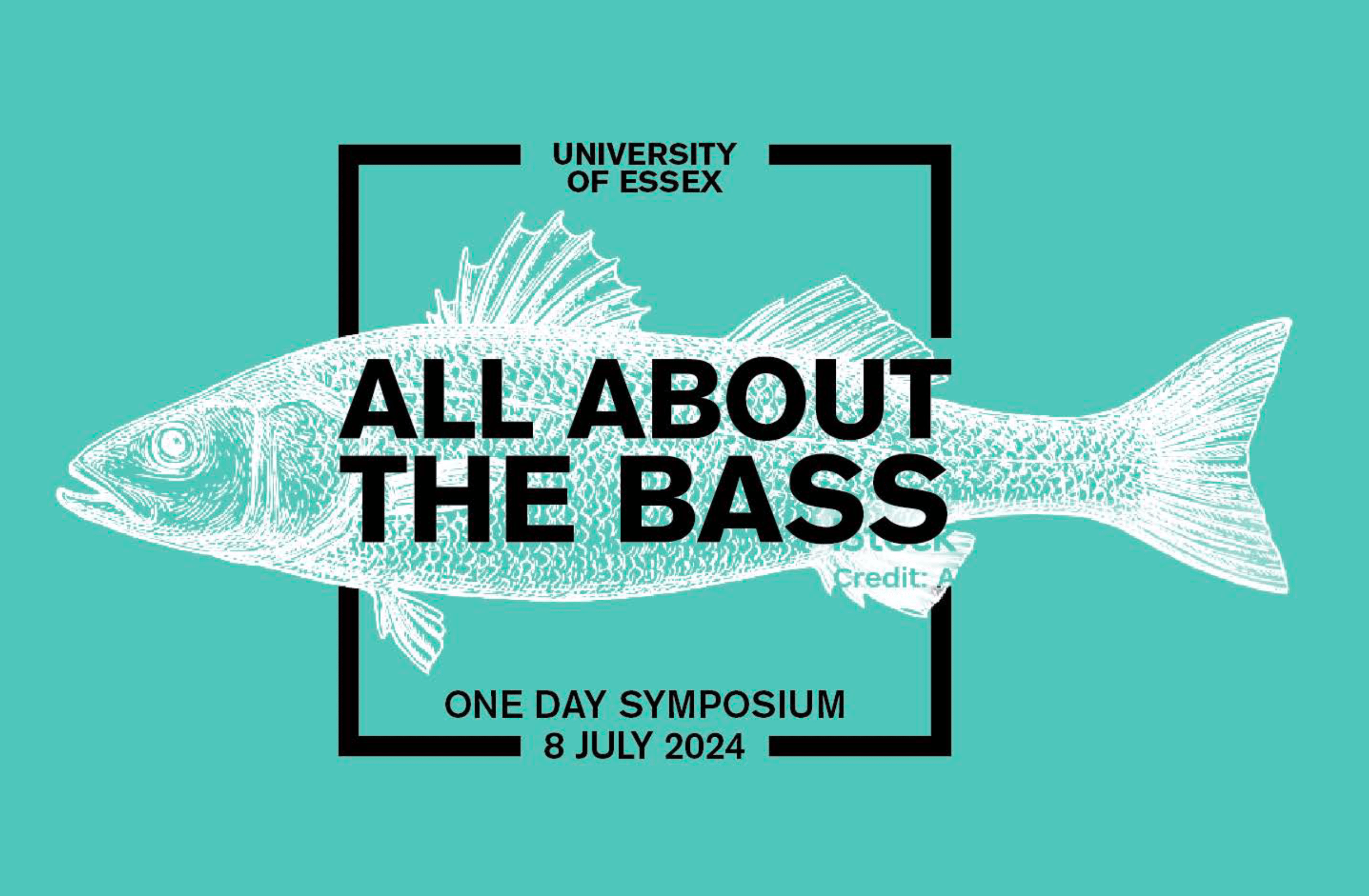 All About The Bass – What we learned from this one day symposium at the University of Essex | Blog 