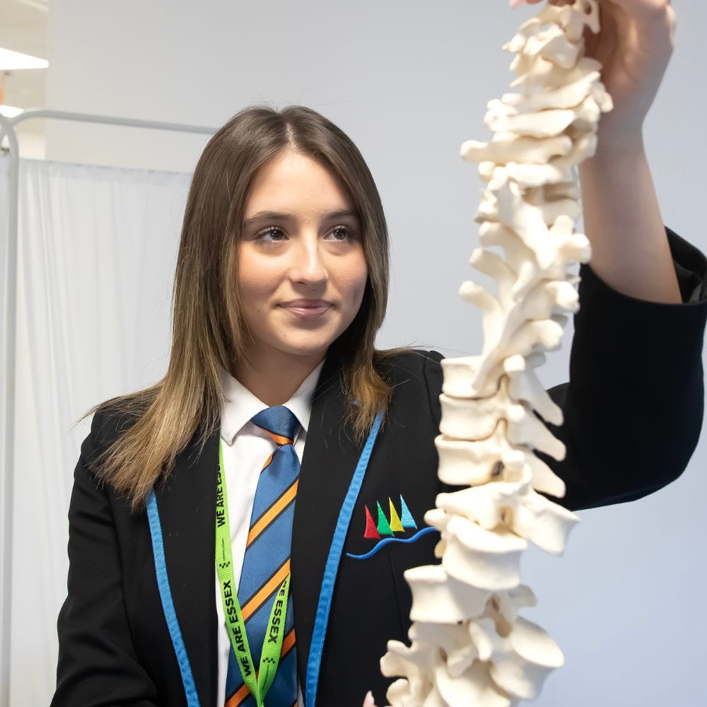 A student examines a spine