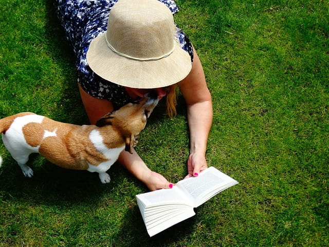 Essex Therapy Dogs in the Library