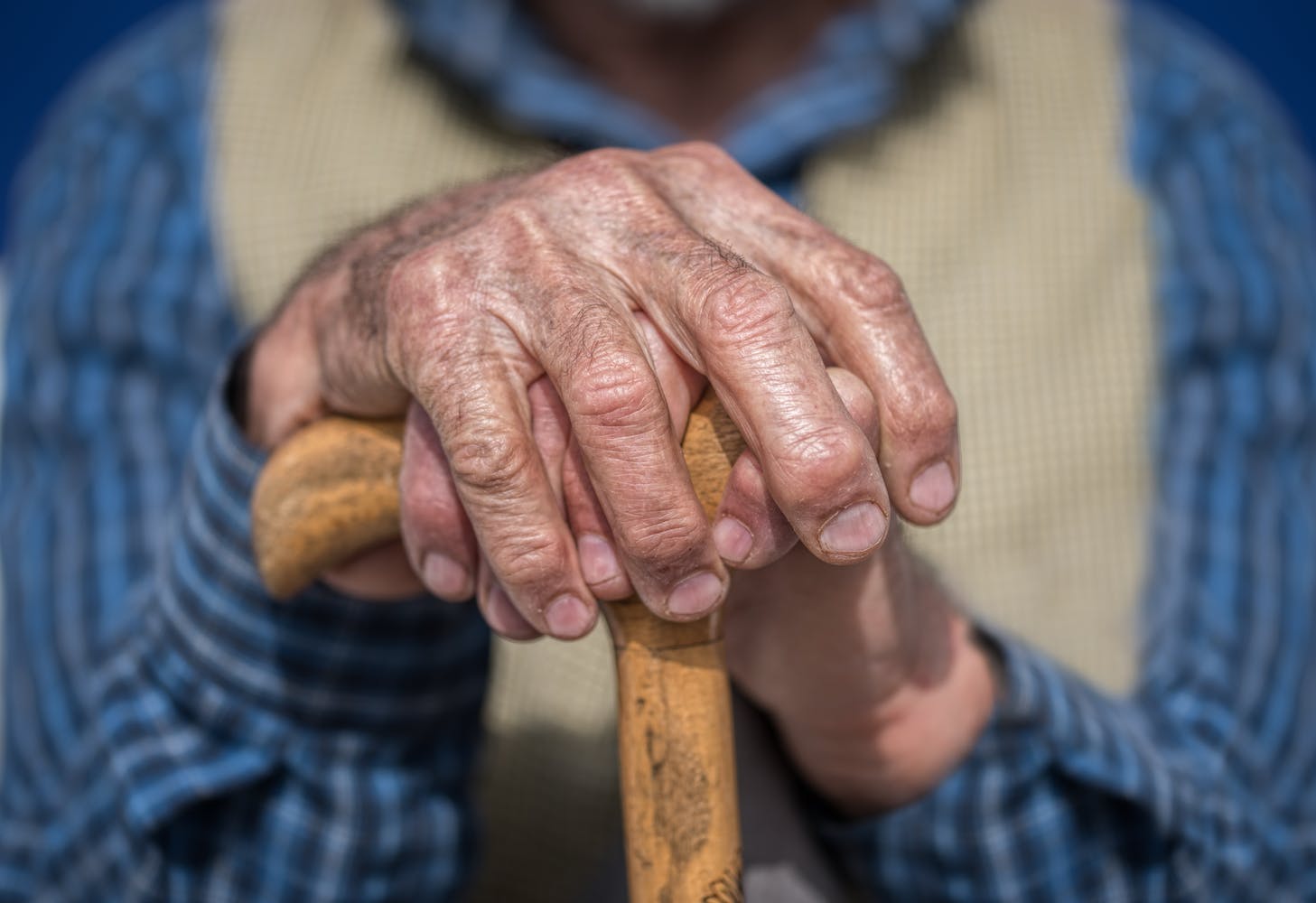 ‘Anti-ageing’ protein shown to slow cell growth is key in longevity – new research