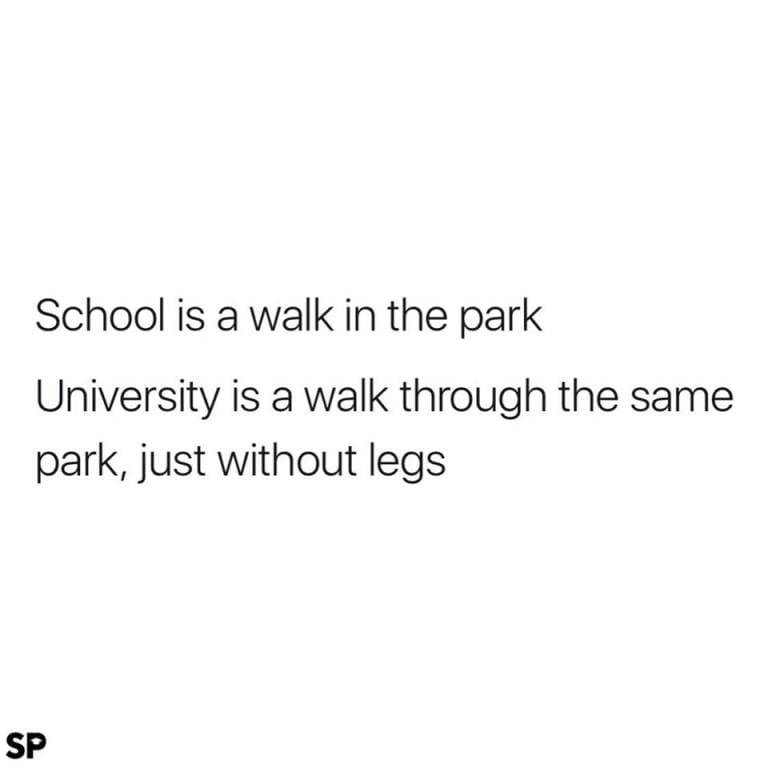 ‘University is a walk in the park’ meme