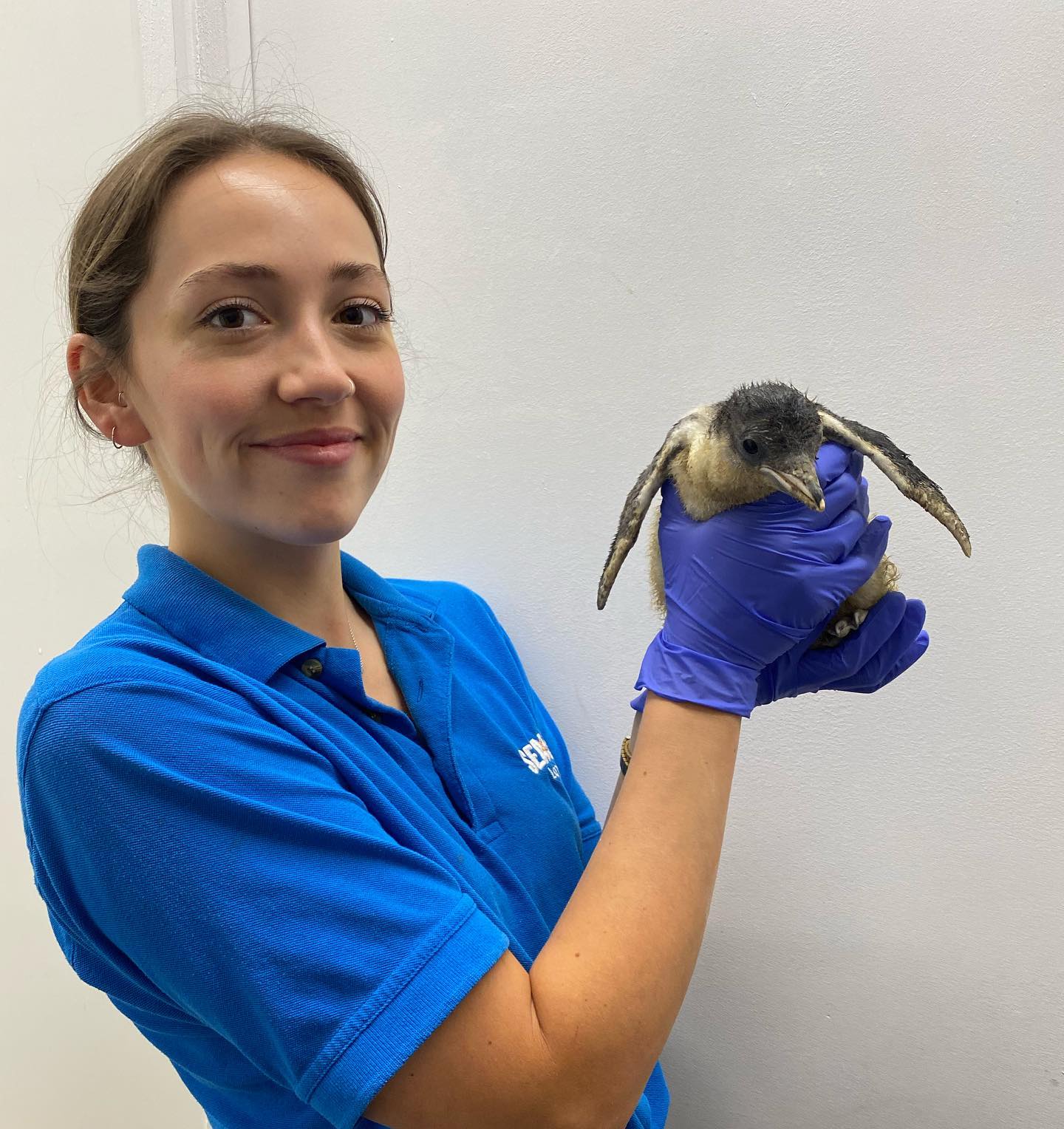 Harriet holding a baby Gentoo penguin