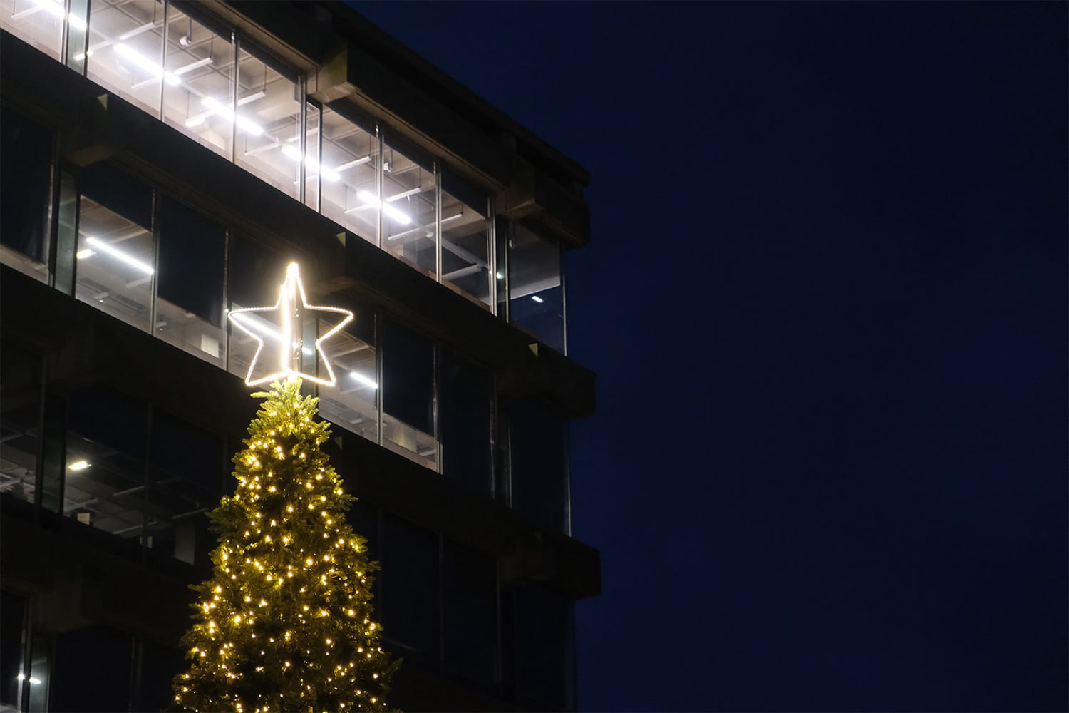 Library Christmas Opening Hours 