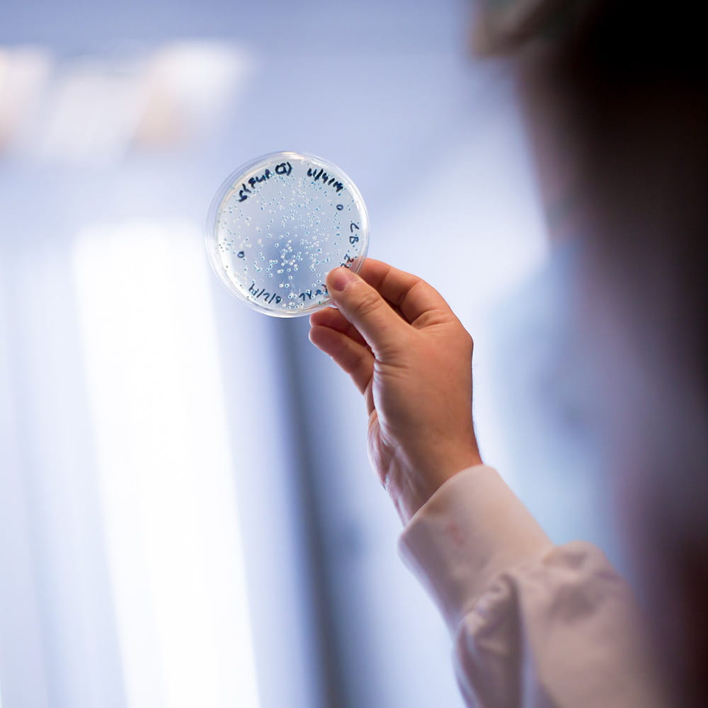 A sample being held up to the light in a lab