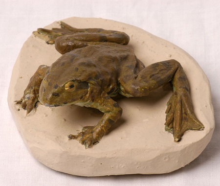 A stuffed frog mounted on a circular piece of plaster.