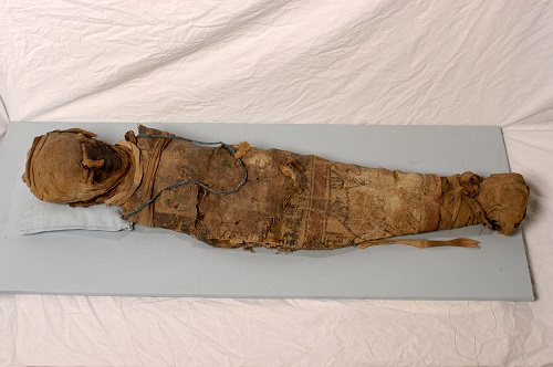 A small mummified human wrapped bandages.