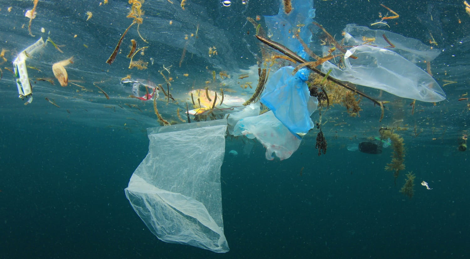 Reducing plastics | Blog 