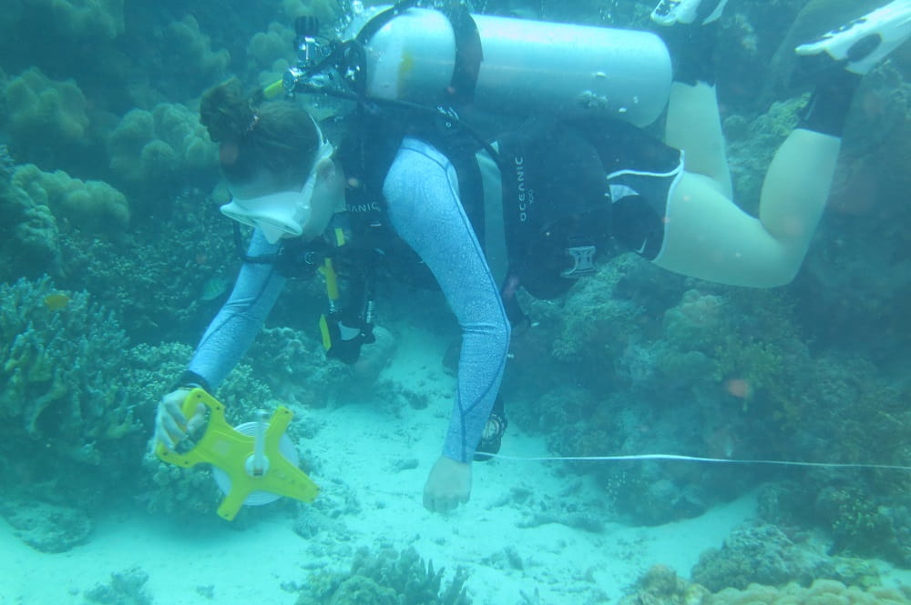 A student diver underwater, using a measuring tape.