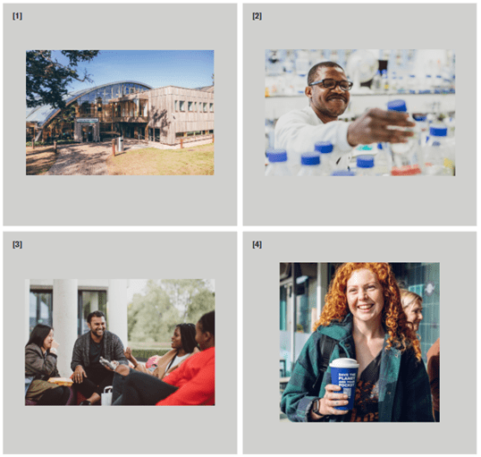 Four examples of our visual branding style as used in our photography.