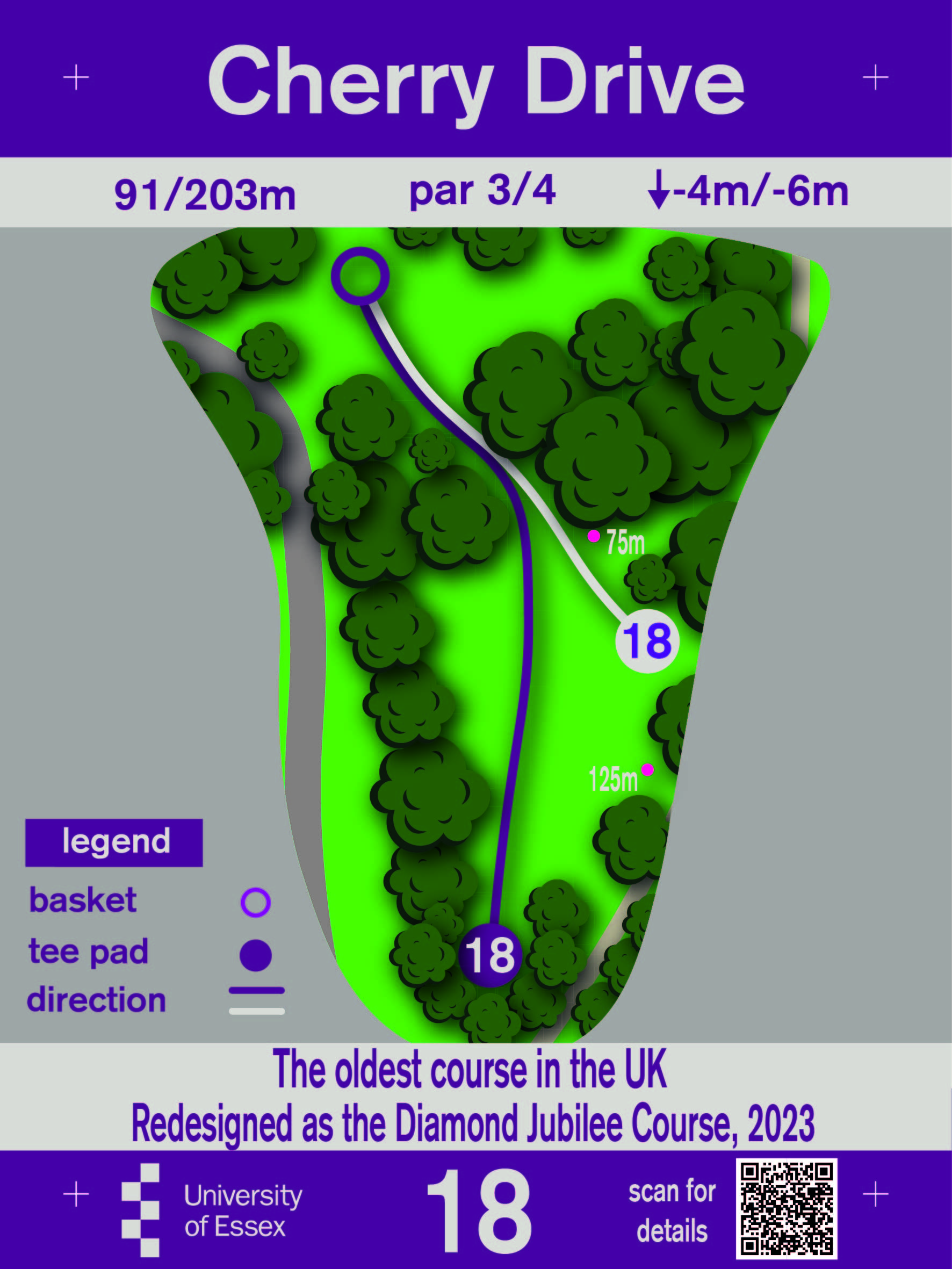 University of Essex Disc Golf Hole 18